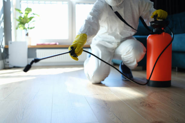 Reliable Biohazard Cleanup contractor in Kingston, WA by Trauma Clean Pros